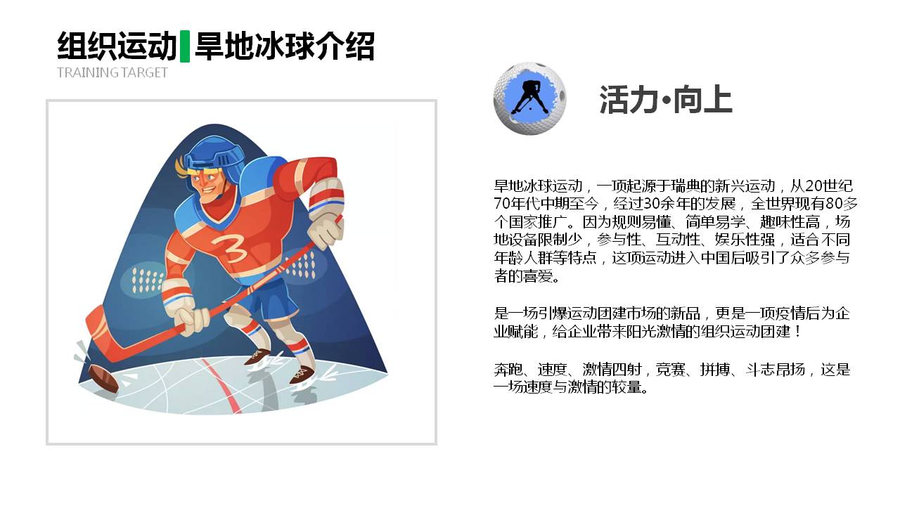旱地冰球介绍