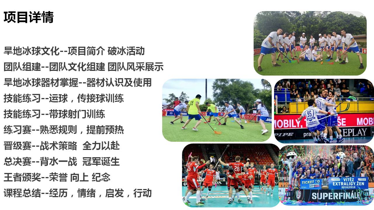 旱地冰球介绍